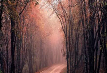 28圈：哈登24分快船大胜独行侠 奇才力克黄蜂止3连败.