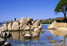 CBA-新疆6分险胜上海 伊力福拉提末节连得12分制胜.